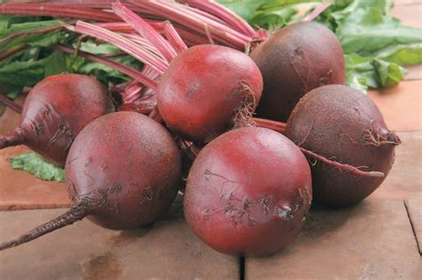 beets prepared food