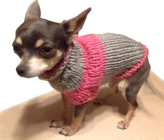 Ravelry: Chihuahua Sweater pattern by Onnica Hutchings