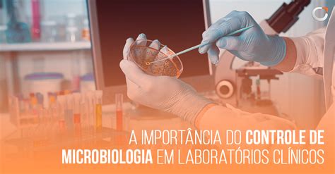 Qual A Importância Da Microbiologia Na Enfermagem - BRAINCP