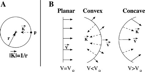 definition   curvature vector illustrated   circle
