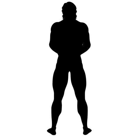 svg svg svg silh
