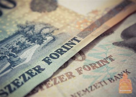 Валюта Венгрии, какие деньги брать в Венгрию и где их менять