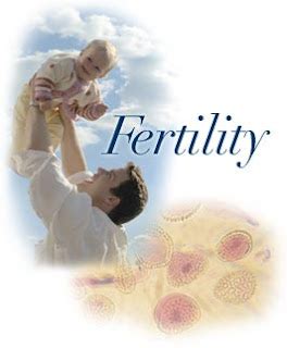 meaning  fertility concept definition  fertility