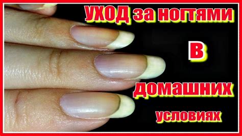 КАК укрепить НОГТИ. Как отрастить ногти. ТРИ способа для САМЫХ ...