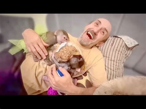Люська стащила целый пакет миндаля и принесла лакомство Степашке и ...