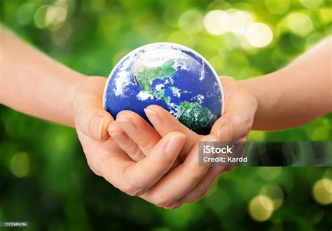 care  protect  world  human hands concept stock photo