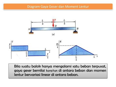 gaya  internal forcess powerpoint