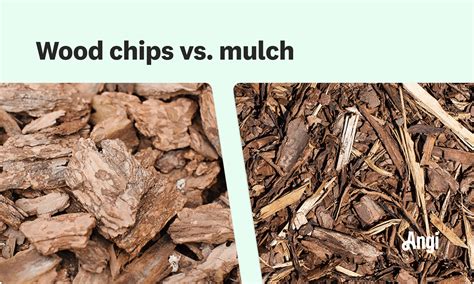 Wood Chips vs. Mulch: What’s the Difference? | Angi