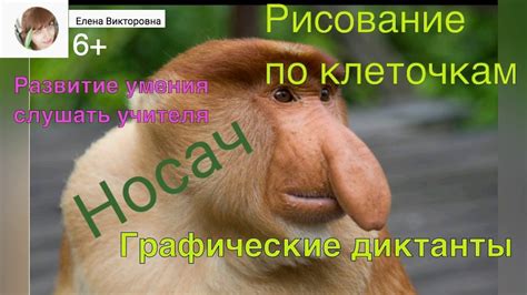 Рисование по клеточкам. Графический диктант. Развитие мелкой моторики ...