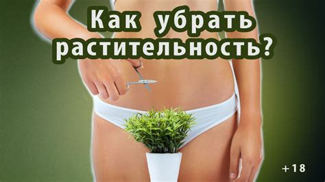 Депиляция бикини/ Полимерный воск Skins - YouTube