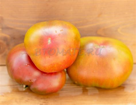 БАГРЯНЫЙ ЗАКАТ Crimson Sunset — BTomate