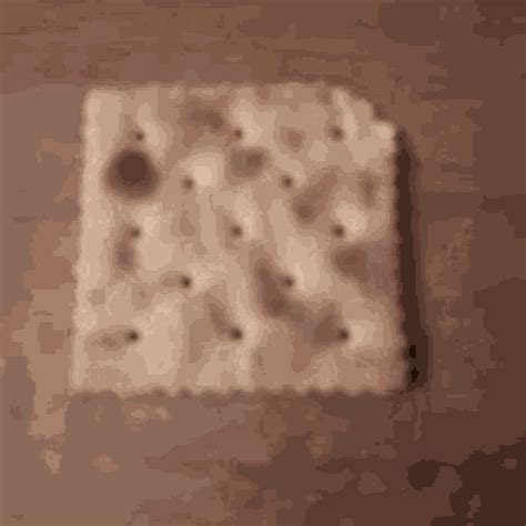 Crackers Gif GIFs | Tenor