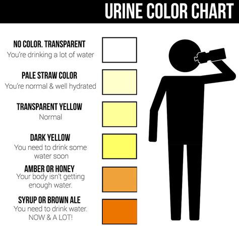 Update on the perpetual urination situation… : r/keto