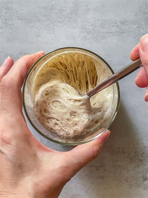 101 Sourdough Tips and Tricks Every Baker Needs – sourdoughtalk.com