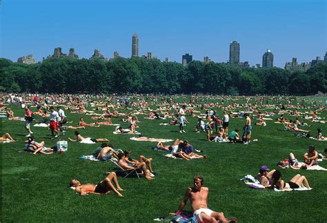 Topless in Central Park on Sunday Photograph by Carl Purcell - Fine Art