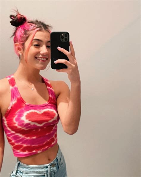 Charli D'Amelio'S Instagram: Fan Reactions | ICRW — Creator Insight Briefs