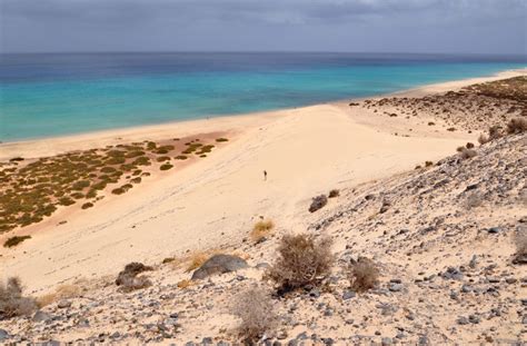 Почему Канары? 5 причин посетить острова вечной весны | Beach, Outdoor ...
