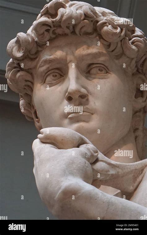 king david statue  museum  florence italy stock photo alamy