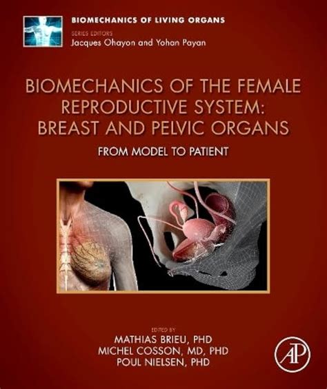 Biomechanics of the Female Reproductive System: Breast and Pelvic