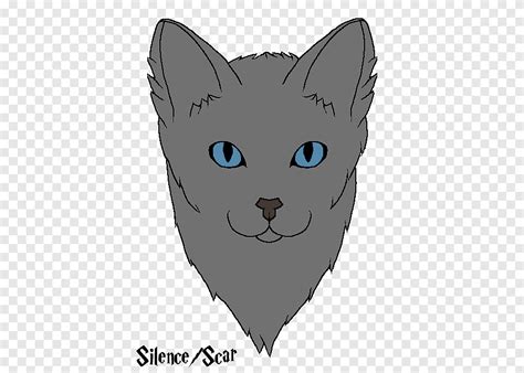 Domestic short-haired cat Whiskers Korat Tabby cat Wildcat, male ...
