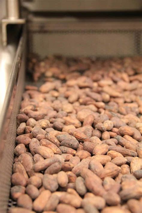 chocolate lab pastry arts magazine