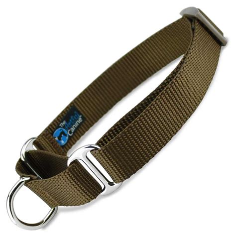 Small Martingale Collars for Dogs Under 20 Lbs
