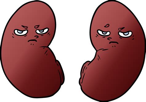 cartoon irritated kidneys 12412563 Vector Art at Vecteezy