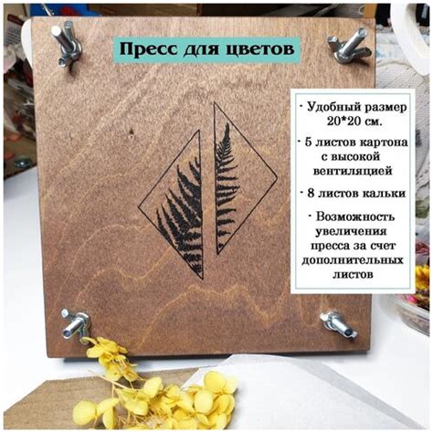Купить Пресс для сушки листьев, трав и цветов . Пресс для сушки ...