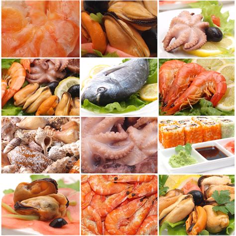 Классификация морепродуктов | Privetmadrid.com
