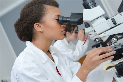How to Research: 5 Steps in the Research Process - 2025 - MasterClass