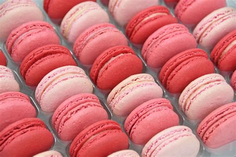 Macarons Aesthetic Wallpapers · 200+ Backgrounds 🟡🟢🟠