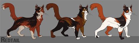 redtail  belka   deviantart