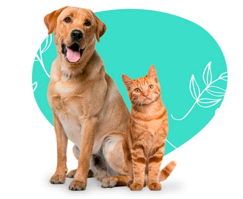 Ownat Dog Food - Andeanvet