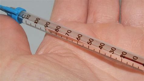 Thermometer 6" | Elite Reproduction Supplies