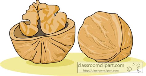 Walnut clipart - Clipground