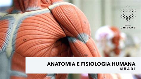 Curso De Anatomia Humana - 9