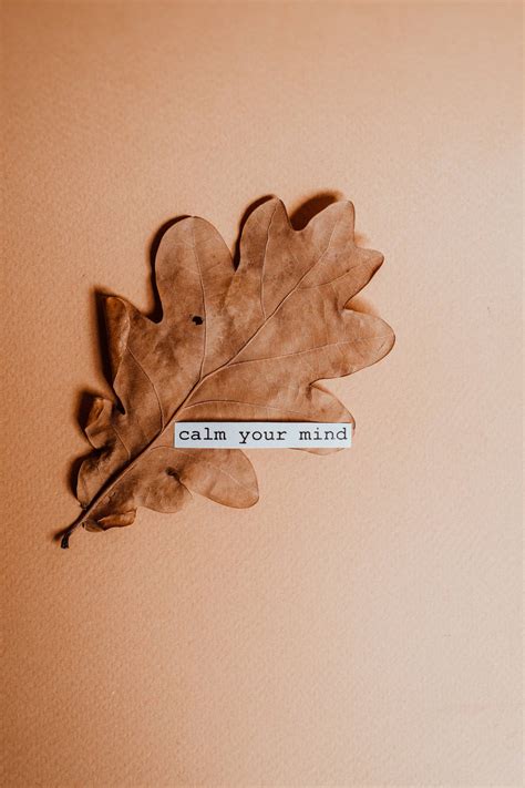 Calm Quotes Wallpapers - Wallpaper Cave