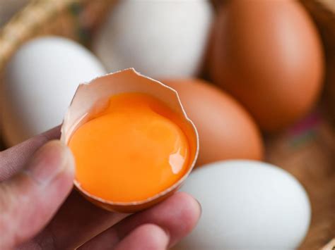 egg yolk color  backyard eggs
