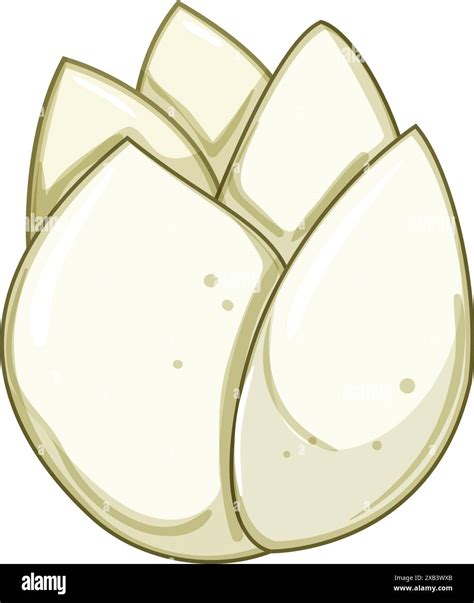beauty lotus flower cartoon vector illustration Stock Vector Image ...