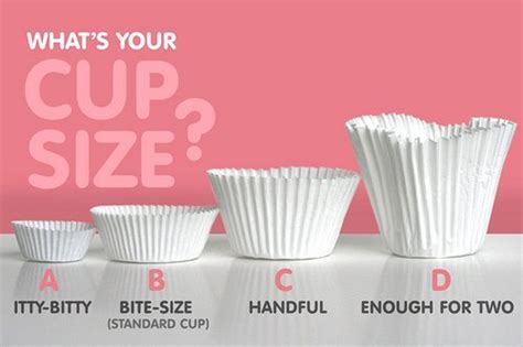 cupsize | Tumblr