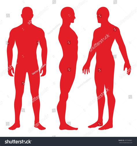 2,059 Human Model Nude Side Images, Stock Photos & Vectors | Shutterstock