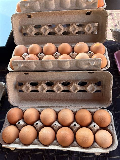 Eau Claire Downtown... - Eau Claire Downtown Farmers Market