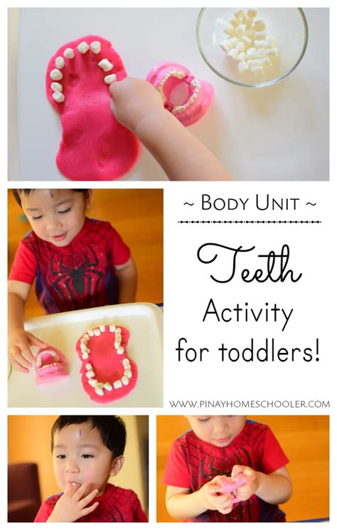 teeth activity  toddlers  months  toddler learning