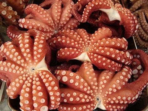 Самые вкусные места мира » BigPicture.ru