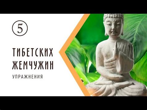 Пять тибетских жемчужин упражнения видео - YouTube