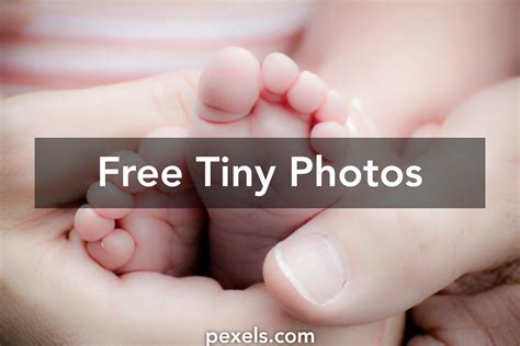 200+ Amazing Tiny Photos · Pexels · Free Stock Photos