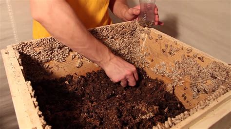 Настойка Личинок Восковой Моли (смотреть здесь www.azidspp.ucoz.ru ...