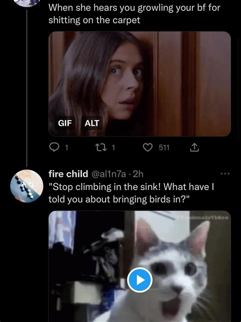 Instagram photo by Cattos • Jun 6, 2025 at 5:43 PM