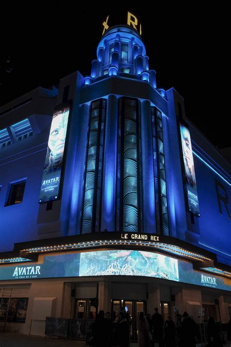 Angie Vu Ha : qui est la compagne de l'acteur Samuel Le Bihan ? - Télé