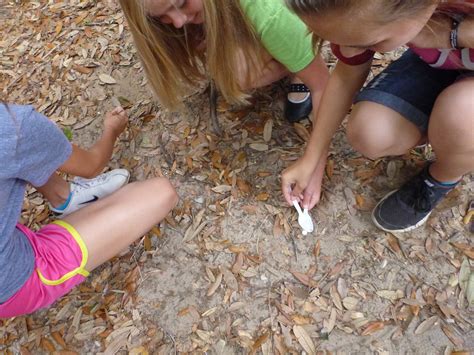 Grasses in Classes: Kids Learn to Build a Salt Marsh | The WFSU Ecology
